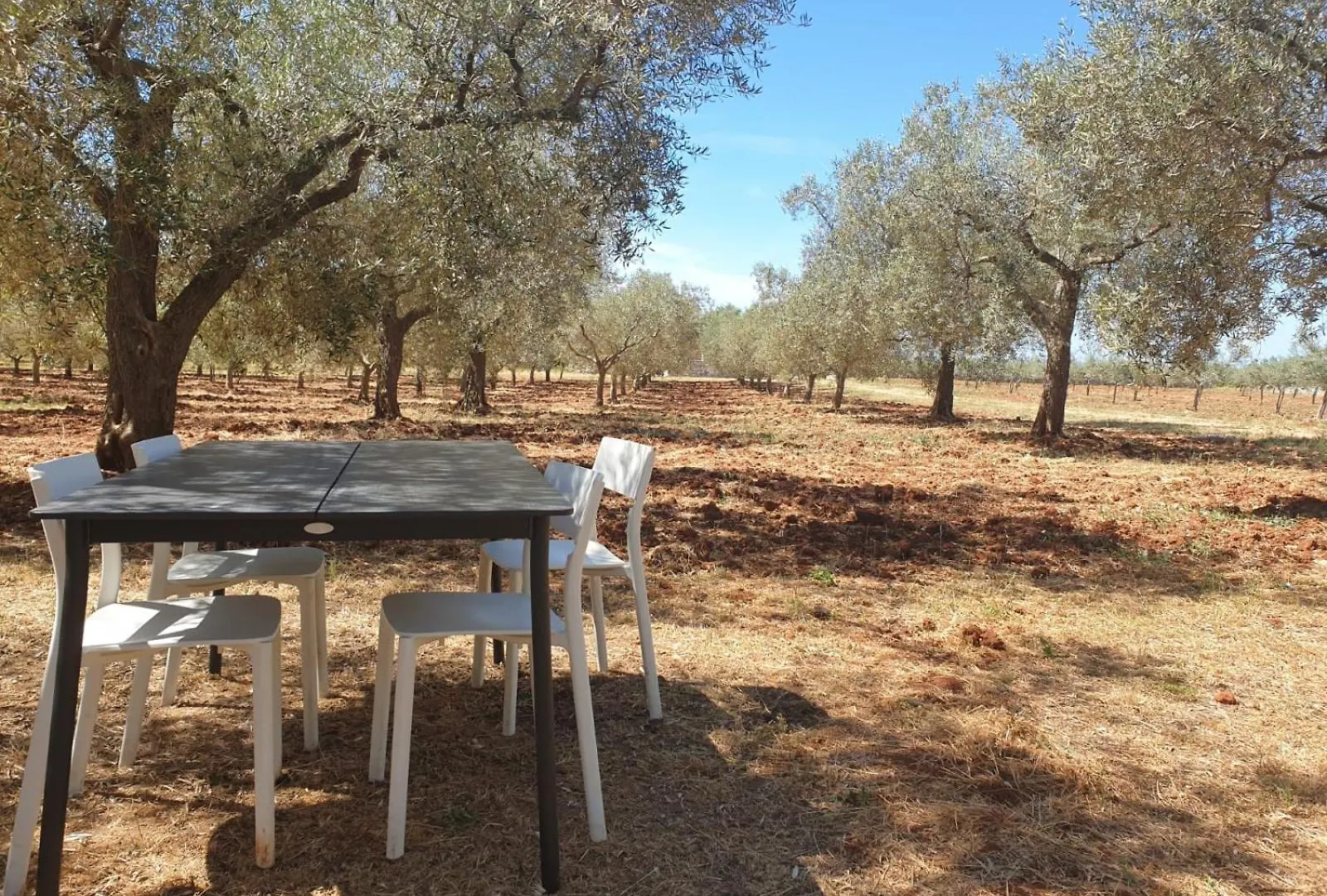 Olivea Luxury Suites Fažana 0*,  Kroatien